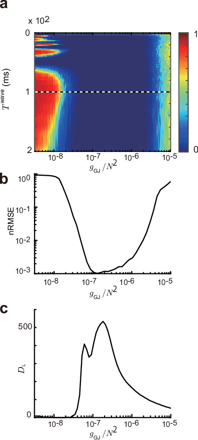 Figure 4 for Chaos may enhance expressivity in cerebellar granular layer