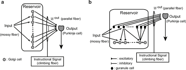 Figure 1 for Chaos may enhance expressivity in cerebellar granular layer
