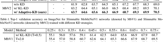 Figure 2 for AlphaNet: Improved Training of Supernet with Alpha-Divergence