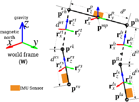 Figure 2 for Estimating Lower Limb Kinematics using a Reduced Wearable Sensor Count