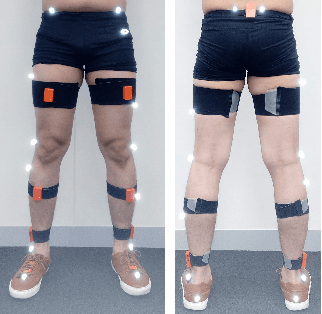 Figure 3 for Estimating Lower Limb Kinematics using a Reduced Wearable Sensor Count