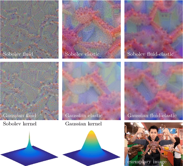 Figure 1 for Understanding Regularization to Visualize Convolutional Neural Networks