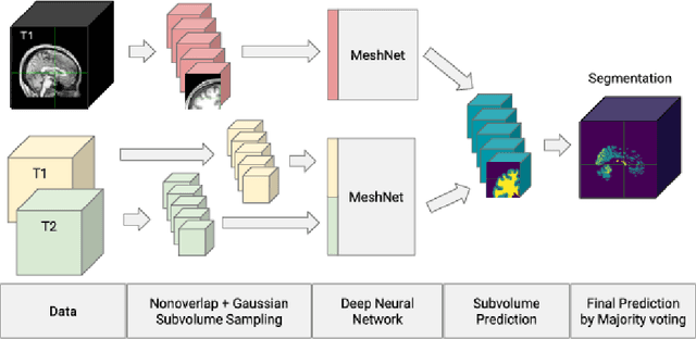 Figure 4 for Almost instant brain atlas segmentation for large-scale studies