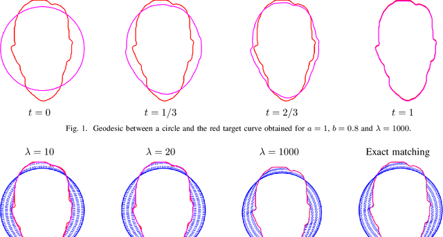 Figure 1 for An inexact matching approach for the comparison of plane curves with general elastic metrics