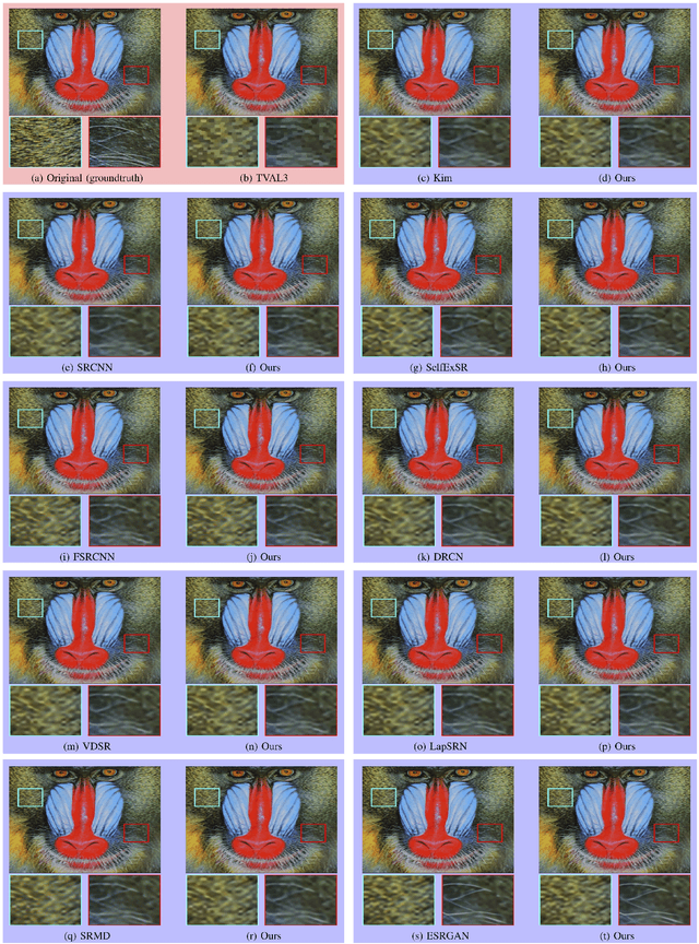 Figure 3 for Robust Single-Image Super-Resolution via CNNs and TV-TV Minimization