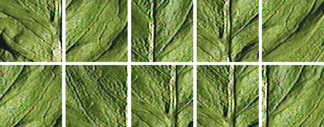 Figure 2 for 2-d signature of images and texture classification