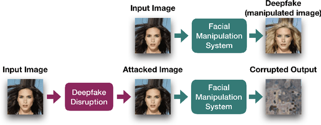 Figure 1 for Disrupting DeepFakes: Adversarial Attacks Against Conditional Image Translation Networks and Facial Manipulation Systems