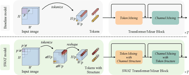 Figure 3 for SWAT: Spatial Structure Within and Among Tokens