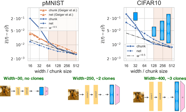 Figure 1 for Representation mitosis in wide neural networks