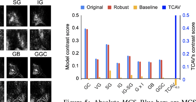 Figure 4 for BIM: Towards Quantitative Evaluation of Interpretability Methods with Ground Truth