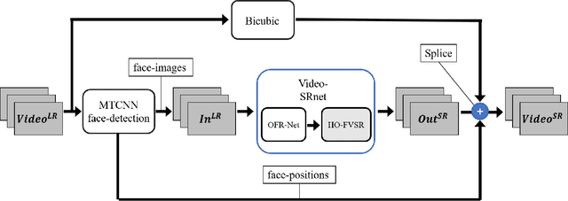 Figure 2 for An Efficient Network Design for Face Video Super-resolution