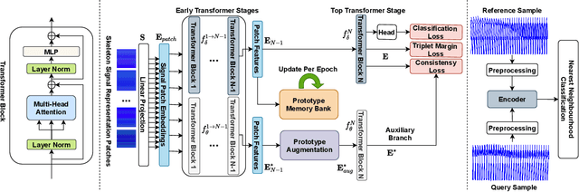Figure 2 for ProFormer: Learning Data-efficient Representations of Body Movement with Prototype-based Feature Augmentation and Visual Transformers