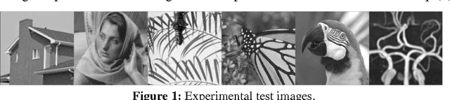 Figure 1 for Structural Group Sparse Representation for Image Compressive Sensing Recovery