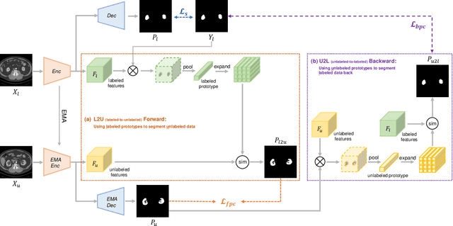 Figure 2 for All-Around Real Label Supervision: Cyclic Prototype Consistency Learning for Semi-supervised Medical Image Segmentation
