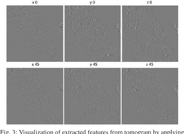 Figure 3 for Feature Decomposition Based Saliency Detection in Electron Cryo-Tomograms