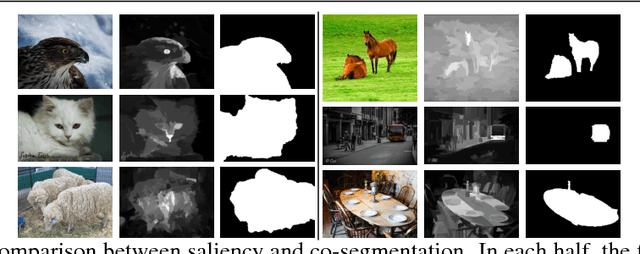 Figure 3 for Weakly Supervised Semantic Segmentation Based on Web Image Co-segmentation