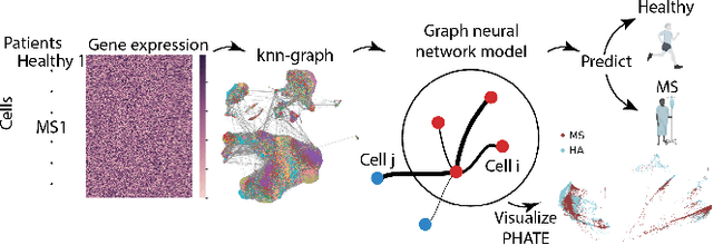 Figure 1 for Disease State Prediction From Single-Cell Data Using Graph Attention Networks