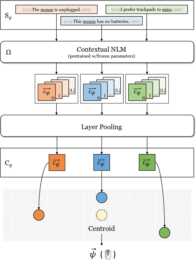 Figure 1 for LMMS Reloaded: Transformer-based Sense Embeddings for Disambiguation and Beyond