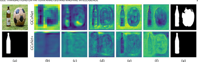 Figure 3 for GCoNet+: A Stronger Group Collaborative Co-Salient Object Detector