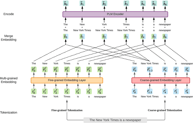Figure 1 for LICHEE: Improving Language Model Pre-training with Multi-grained Tokenization