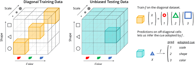 Figure 1 for Which Shortcut Cues Will DNNs Choose? A Study from the Parameter-Space Perspective