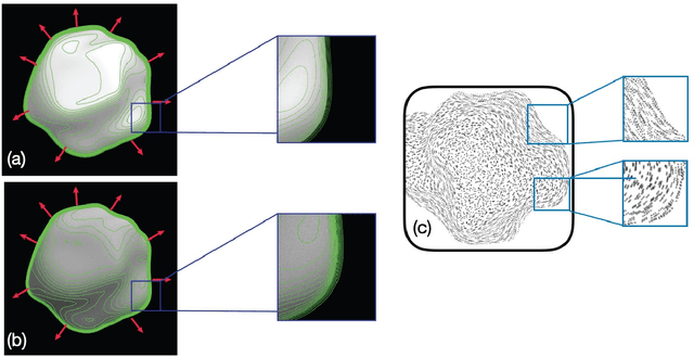 Figure 3 for From Boundaries to Bumps: when closed contours are critical