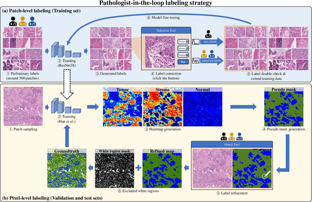 Figure 3 for WSSS4LUAD: Grand Challenge on Weakly-supervised Tissue Semantic Segmentation for Lung Adenocarcinoma