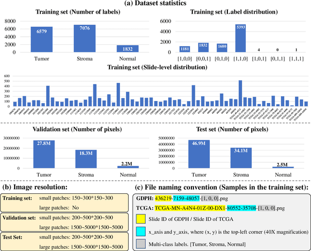 Figure 4 for WSSS4LUAD: Grand Challenge on Weakly-supervised Tissue Semantic Segmentation for Lung Adenocarcinoma