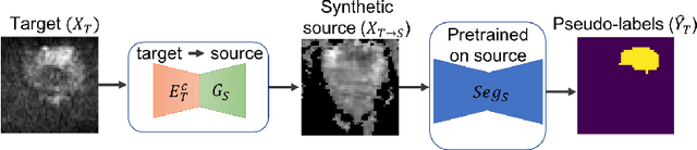 Figure 4 for Unsupervised Domain Adaptation with Semantic Consistency across Heterogeneous Modalities for MRI Prostate Lesion Segmentation