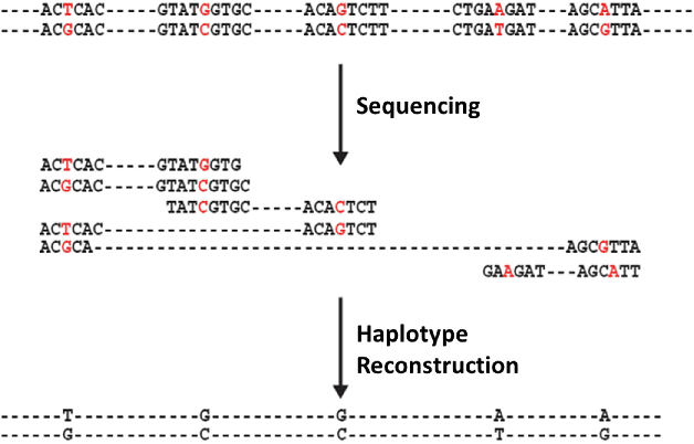 Figure 1 for Matrix Completion and Performance Guarantees for Single Individual Haplotyping