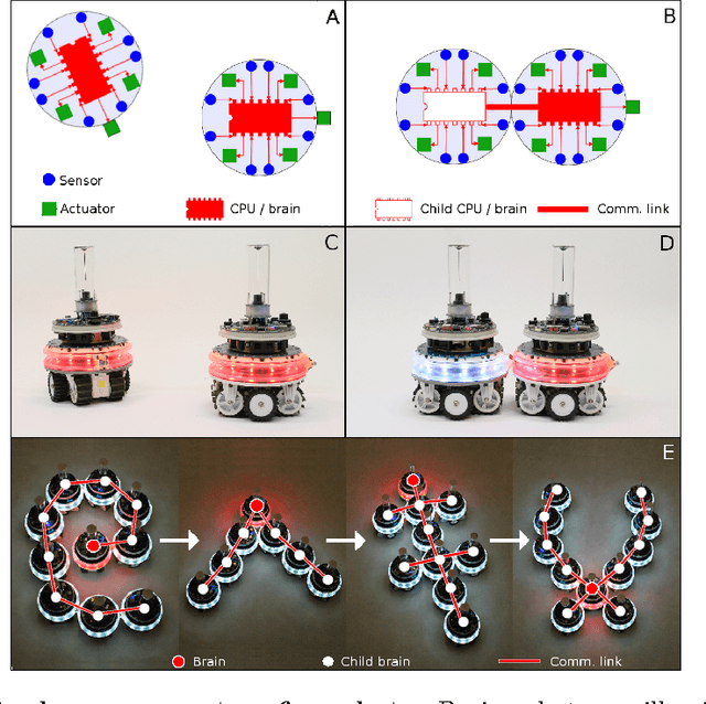 Figure 1 for Virtual Nervous Systems for Self-Assembling Robots - A preliminary report