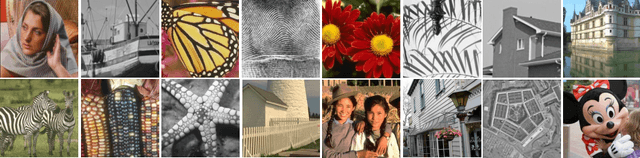 Figure 1 for Non-Convex Weighted Lp Nuclear Norm based ADMM Framework for Image Restoration