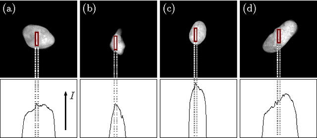 Figure 3 for Automated Image Processing for the Analysis of DNA Repair Dynamics