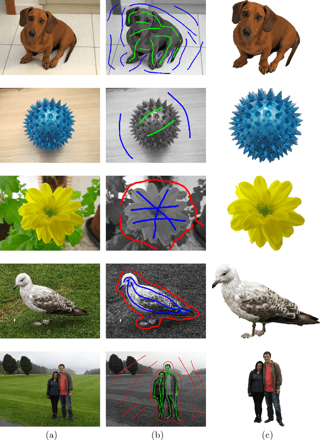 Figure 2 for Interactive Image Segmentation using Label Propagation through Complex Networks