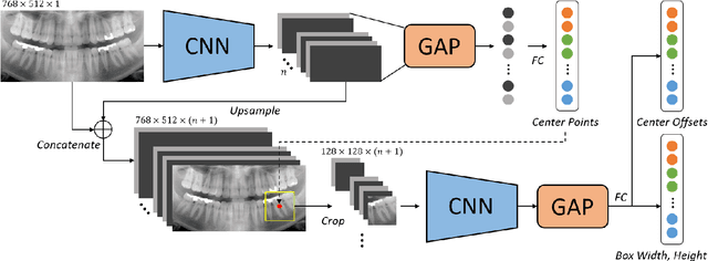 Figure 1 for Individual Tooth Detection and Identification from Dental Panoramic X-Ray Images via Point-wise Localization and Distance Regularization