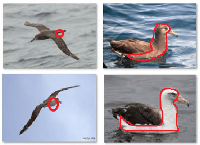 Figure 1 for Sequential Random Network for Fine-grained Image Classification