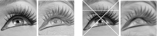 Figure 1 for Highly corrupted image inpainting through hypoelliptic diffusion