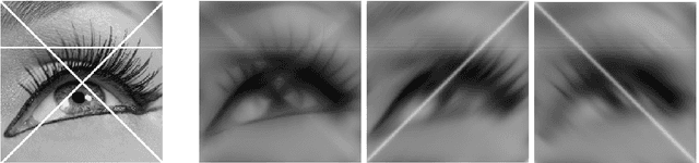 Figure 2 for Highly corrupted image inpainting through hypoelliptic diffusion