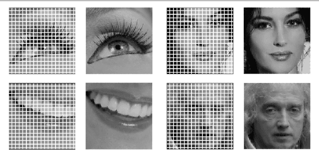 Figure 4 for Highly corrupted image inpainting through hypoelliptic diffusion