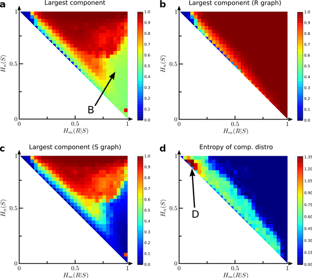 Figure 4 for The morphospace of language networks