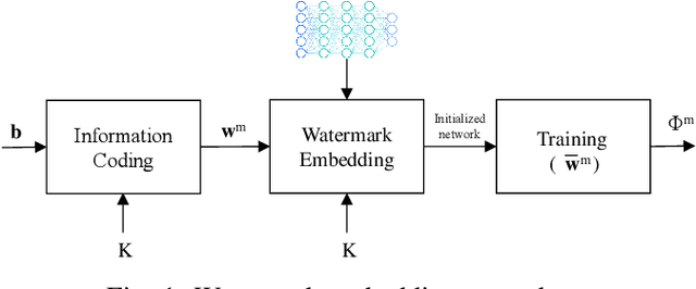 Figure 1 for Robust DNN Watermarking via Fixed Embedding Weights with Optimized Distribution