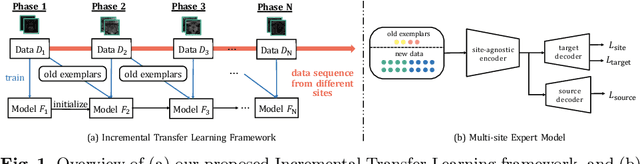 Figure 1 for Incremental Learning Meets Transfer Learning: Application to Multi-site Prostate MRI Segmentation