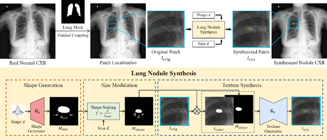 Figure 2 for Image Synthesis with Disentangled Attributes for Chest X-Ray Nodule Augmentation and Detection