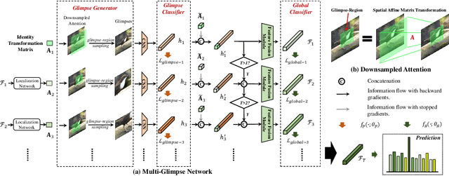 Figure 3 for Multi-Glimpse Network: A Robust and Efficient Classification Architecture based on Recurrent Downsampled Attention