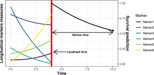 Figure 1 for Individual dynamic prediction of clinical endpoint from large dimensional longitudinal biomarker history: a landmark approach