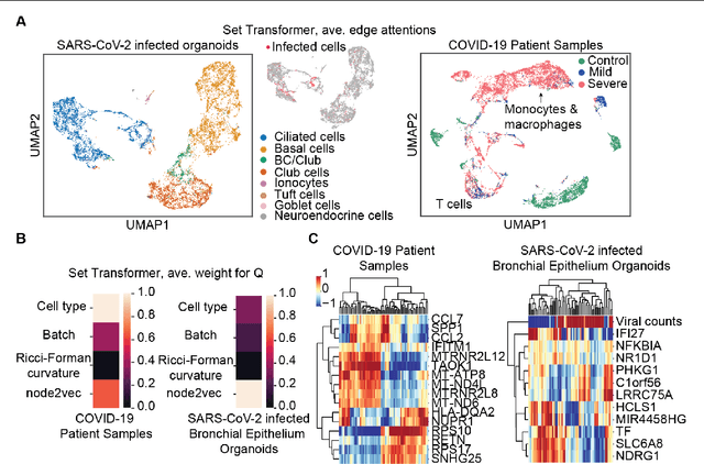 Figure 2 for Gaining insight into SARS-CoV-2 infection and COVID-19 severity using self-supervised edge features and Graph Neural Networks