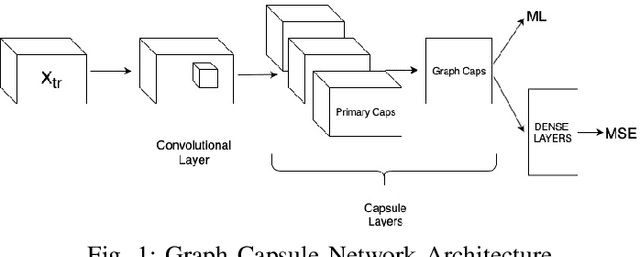 Figure 1 for Capsule Neural Networks for Graph Classification using Explicit Tensorial Graph Representations