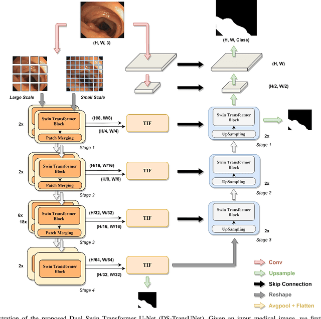 Figure 2 for DS-TransUNet:Dual Swin Transformer U-Net for Medical Image Segmentation