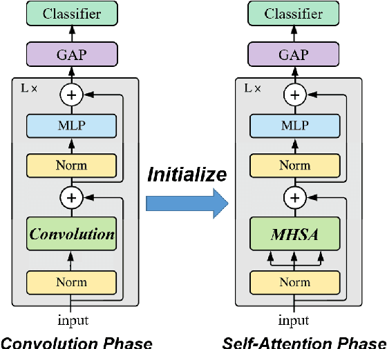 Figure 1 for Can Vision Transformers Perform Convolution?