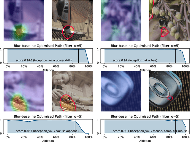 Figure 3 for Ablation Path Saliency